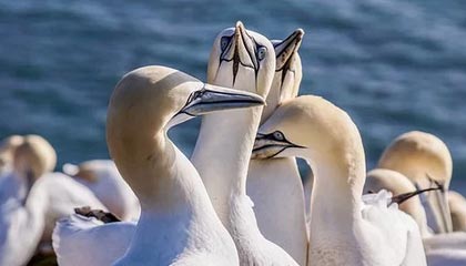 全运会女子5000米决赛 河南选手梁田田获得冠军